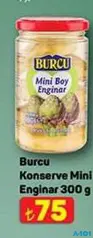 BURCU KONSERVE MİNİ ENGİNAR 300 G fiyat ve kampanya bilgisi
